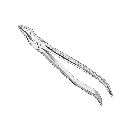 Extracting forceps, anat.